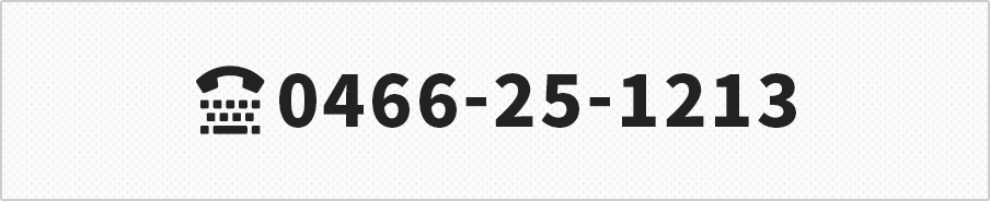 TEL:0466-25-1213